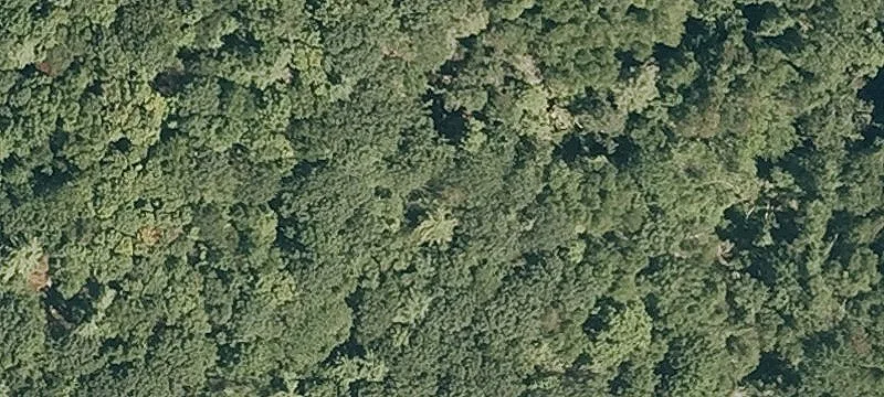 Mary Lyon Rd
