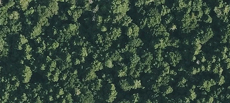 Yokun Rd