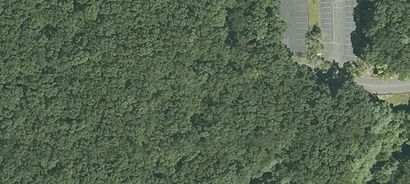 Old Ml Rd