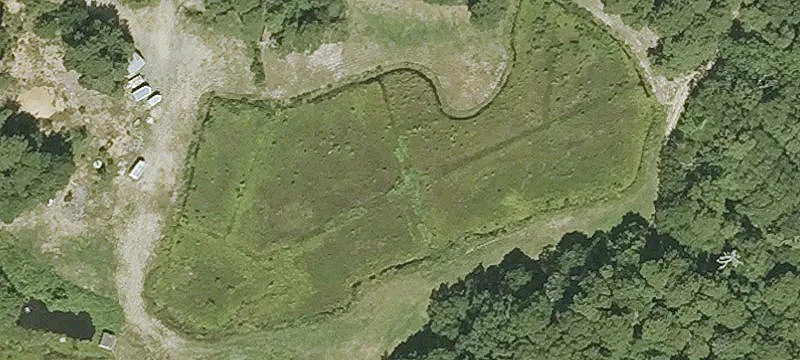 Bog Ln