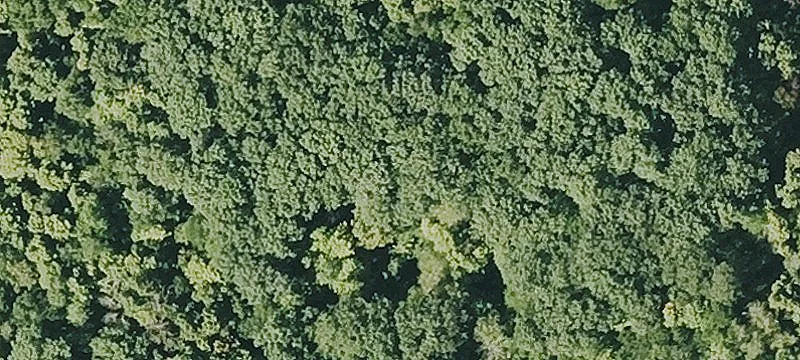 Savoy Holw Rd