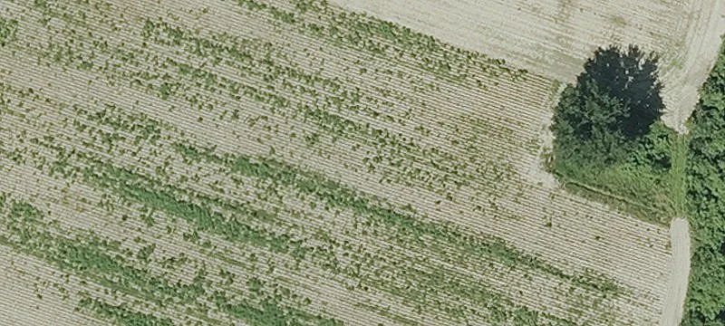 Dike Rd