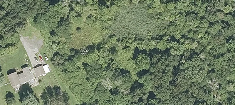 Taunton Ave