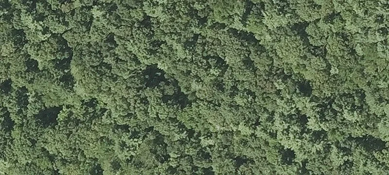 Browning Pond Rd