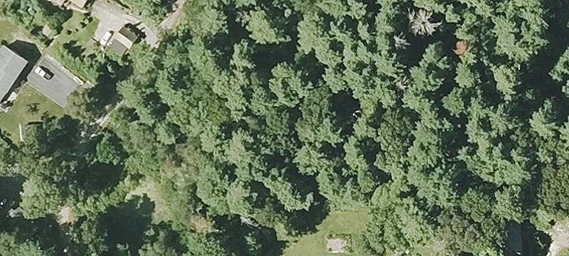 Shallop Rd