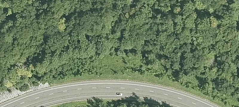 Partridge Rd