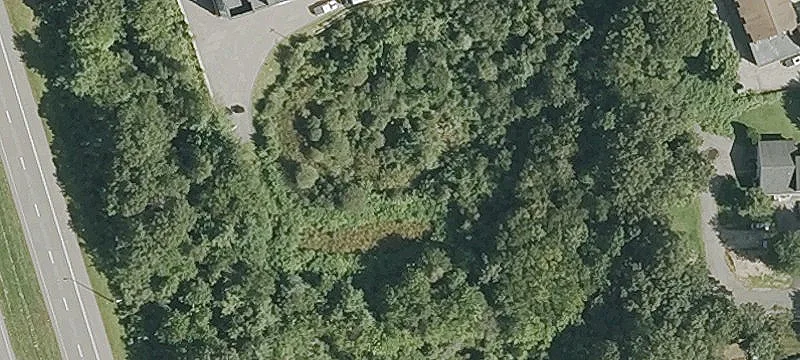 50 Wood Ave