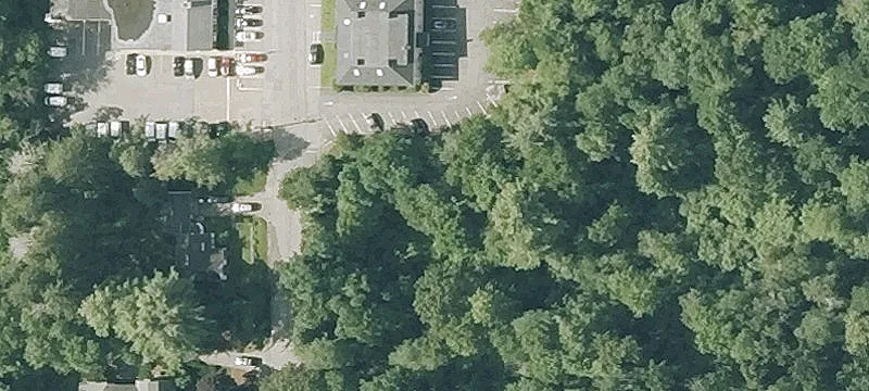 Colpitts Rd