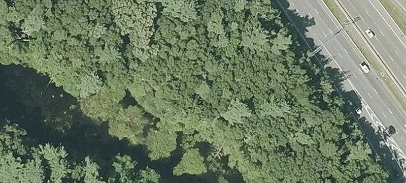 Owl Swamp Rd
