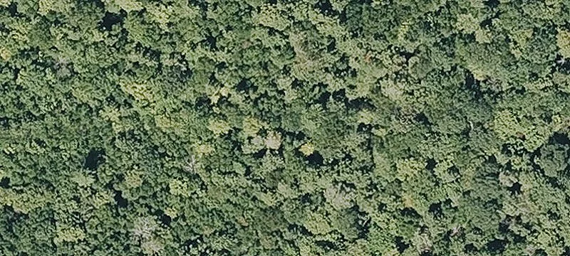 Otis Stage Rd