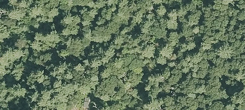 Palmer Rd