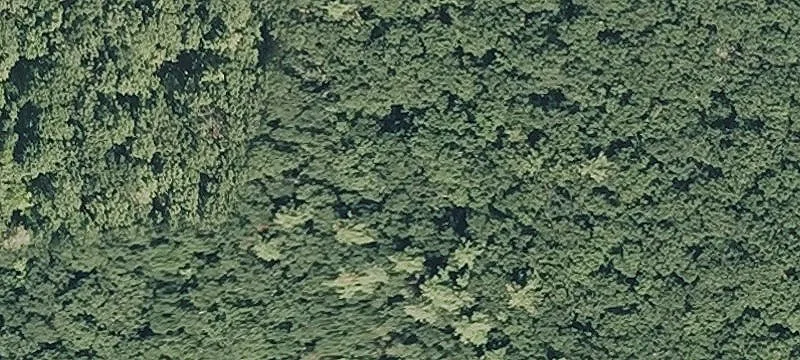 Patten Rd