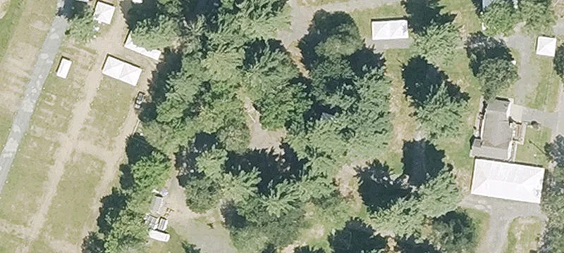 Palmer Rd