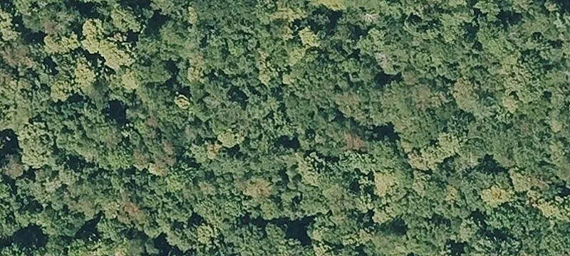 Johnson Hl Rd
