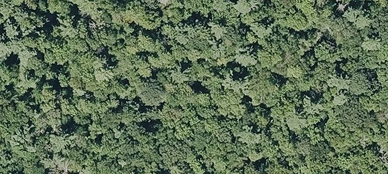 Beech Pln Rd