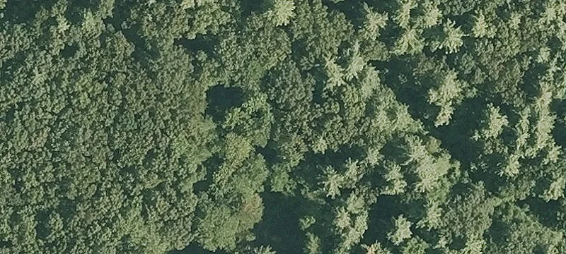 Kaleva Rd