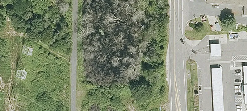 50 Deer St