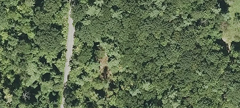 Richardson Rd