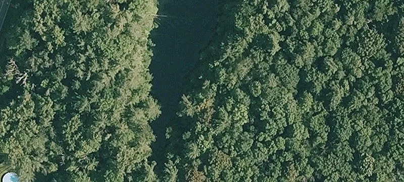 Swamp Rd