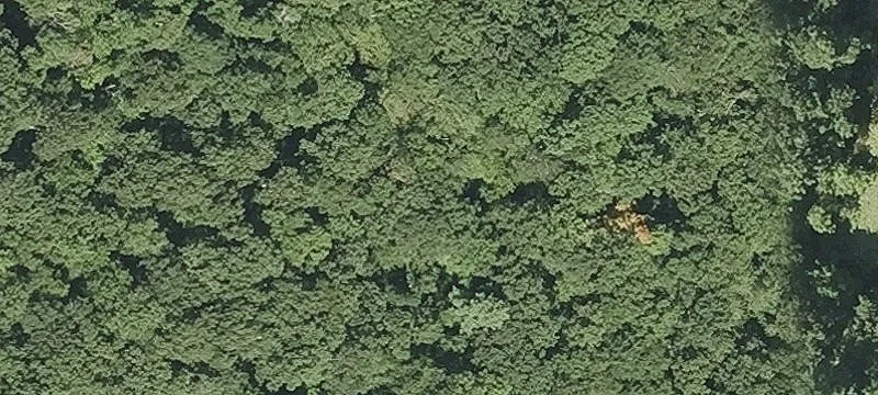 Browning Pond Rd