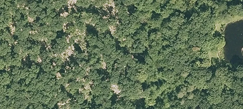 Nn Rd