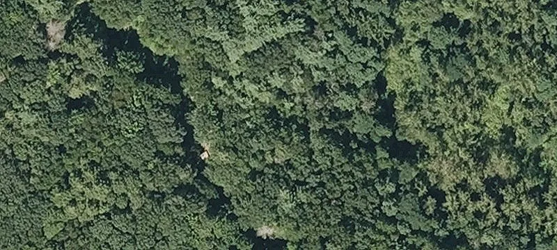 Mtn Rd