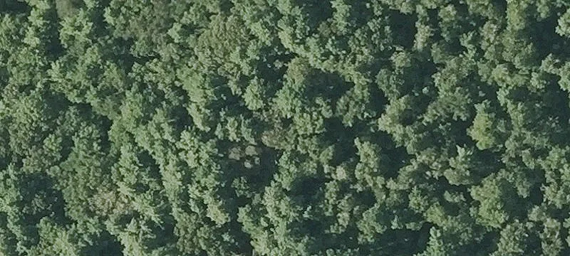 Hathaway Rd