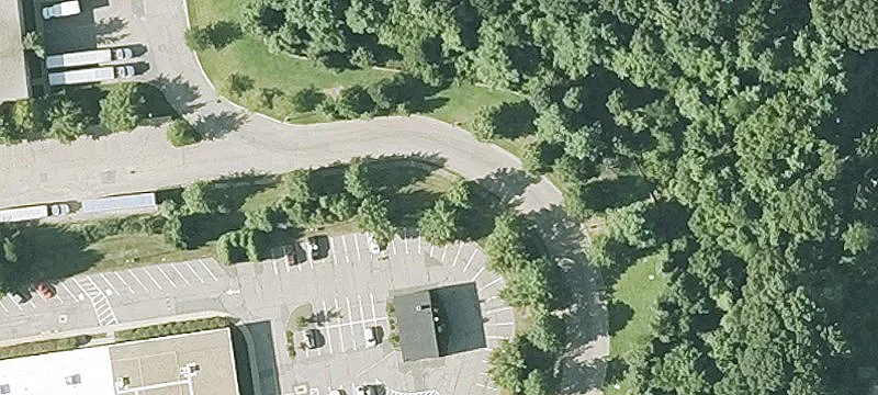 Campanelli Dr