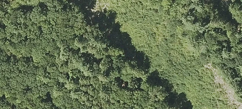 Old County Rd