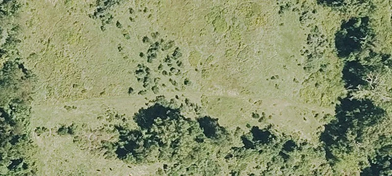270 Greenfield Rd