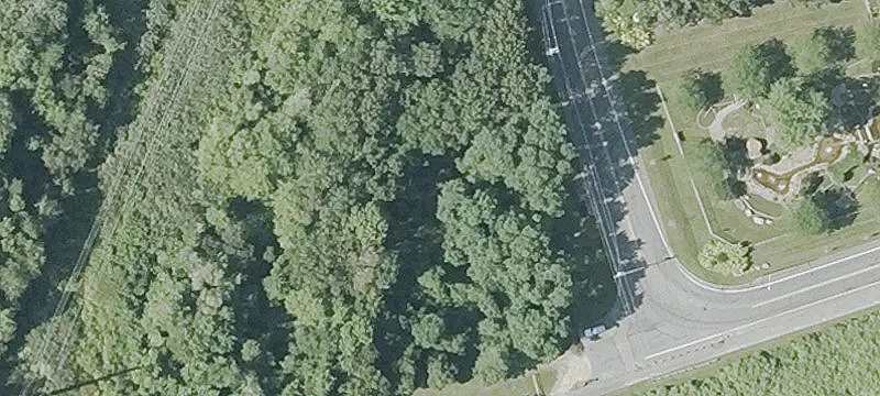 Alden Rd