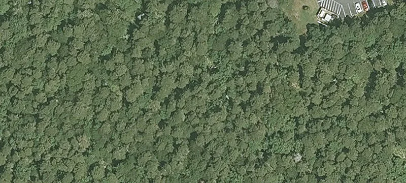 Rte 137