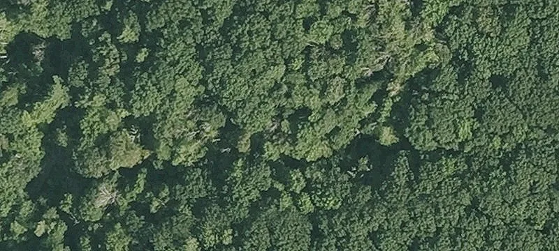 Osceola Rd