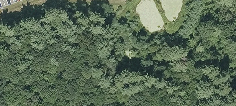 Campanelli Dr