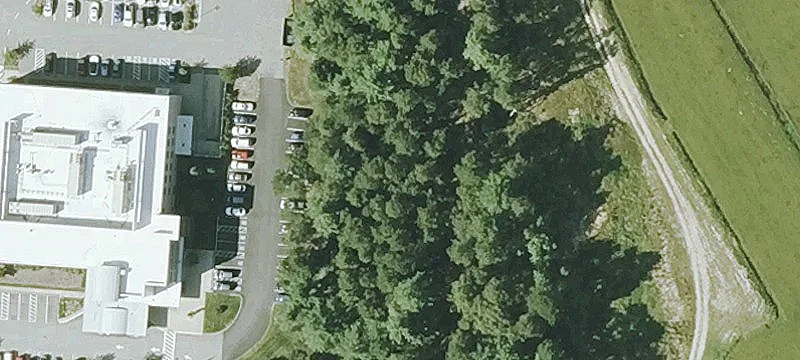 Rosebrook Way