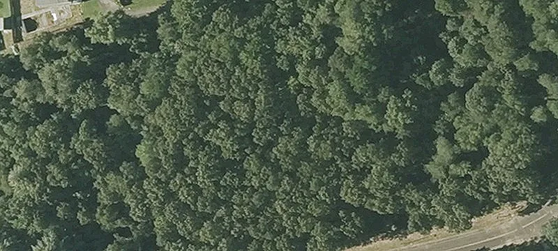 Robbins Rd