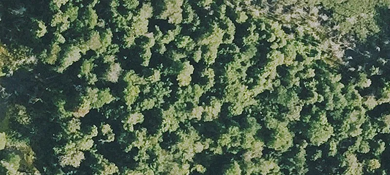 Mt Hunger Rd