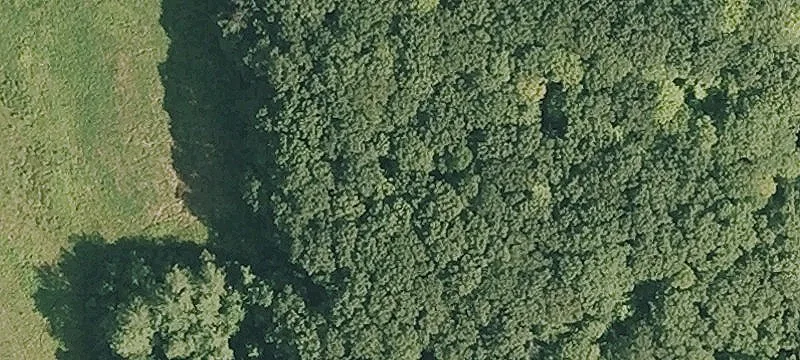 Rattlesnake Mtn Rd