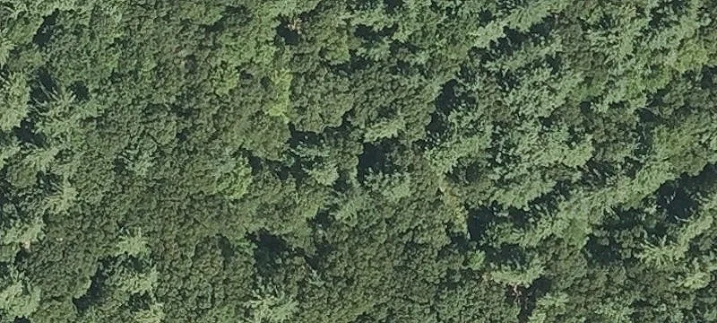 Crystal Pond Rd
