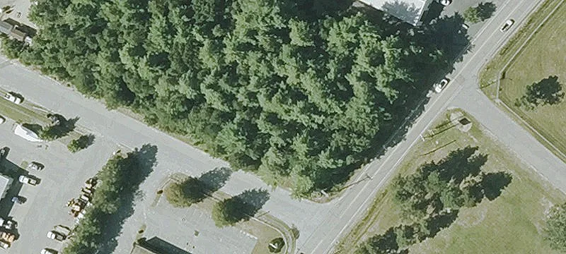 Mdw Park Rd