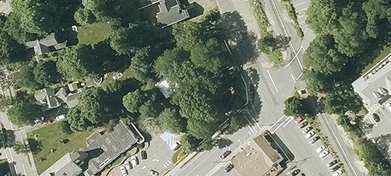 15th Bird St