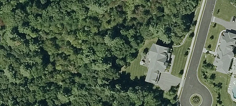 Morgan Farm Rd