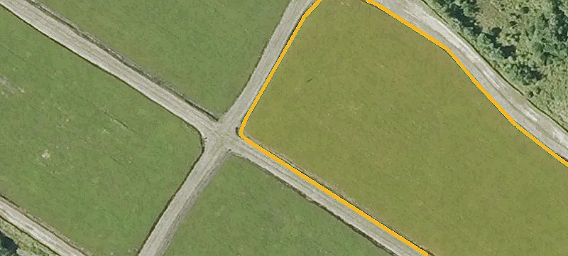 Ring Rd
