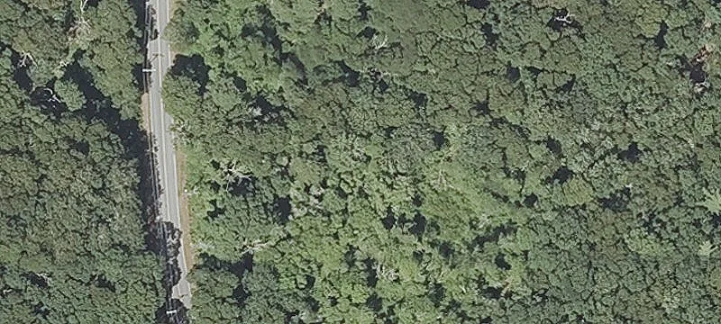 Sippewissett Rd
