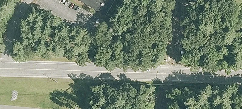 172 Bearfoot Rd