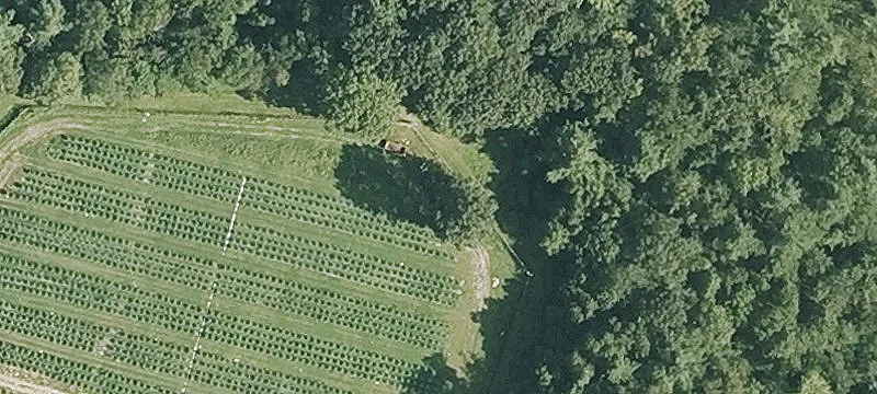 1107 Barker Rd