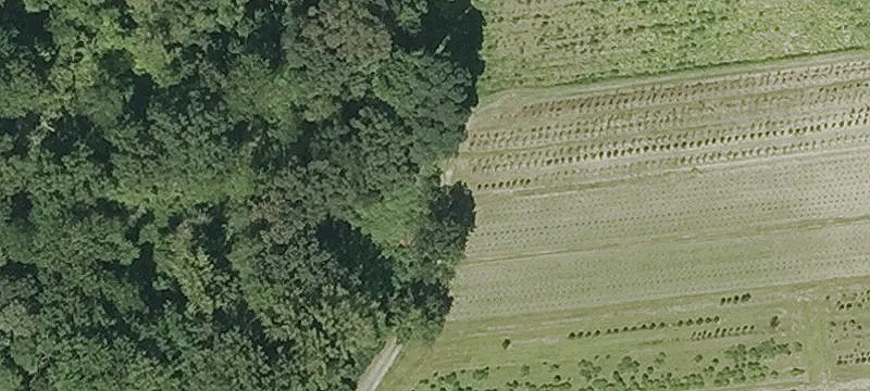 Honey Pot Rd