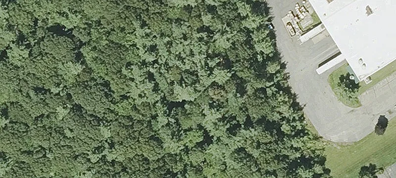 15 Coppage Dr