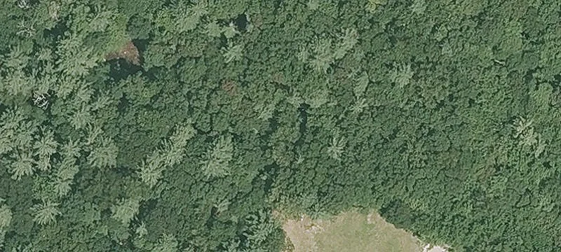 46 Leslie Rd