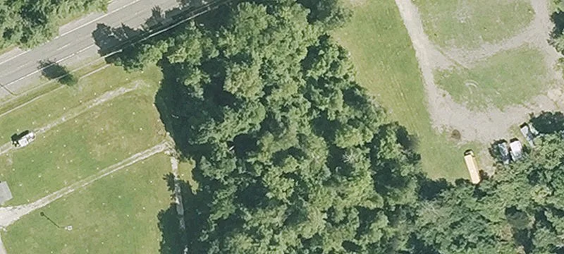 65 Palmer Rd
